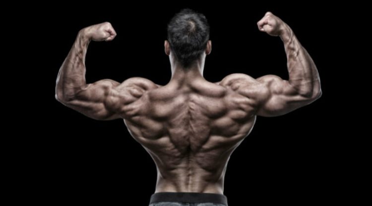 how to get a big back